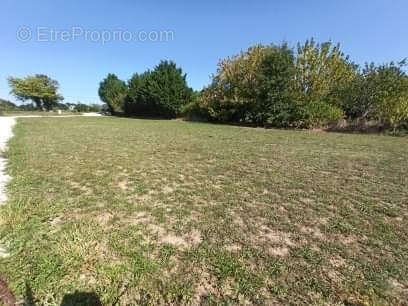 Terrain à CASSENEUIL