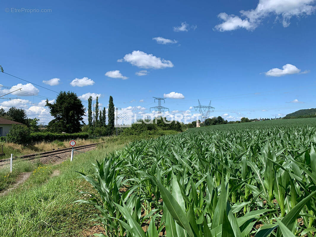 Terrain à COUSANCE