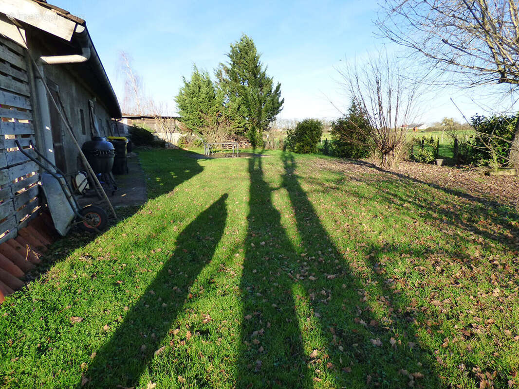 Maison à SAINT-TRIVIER-DE-COURTES