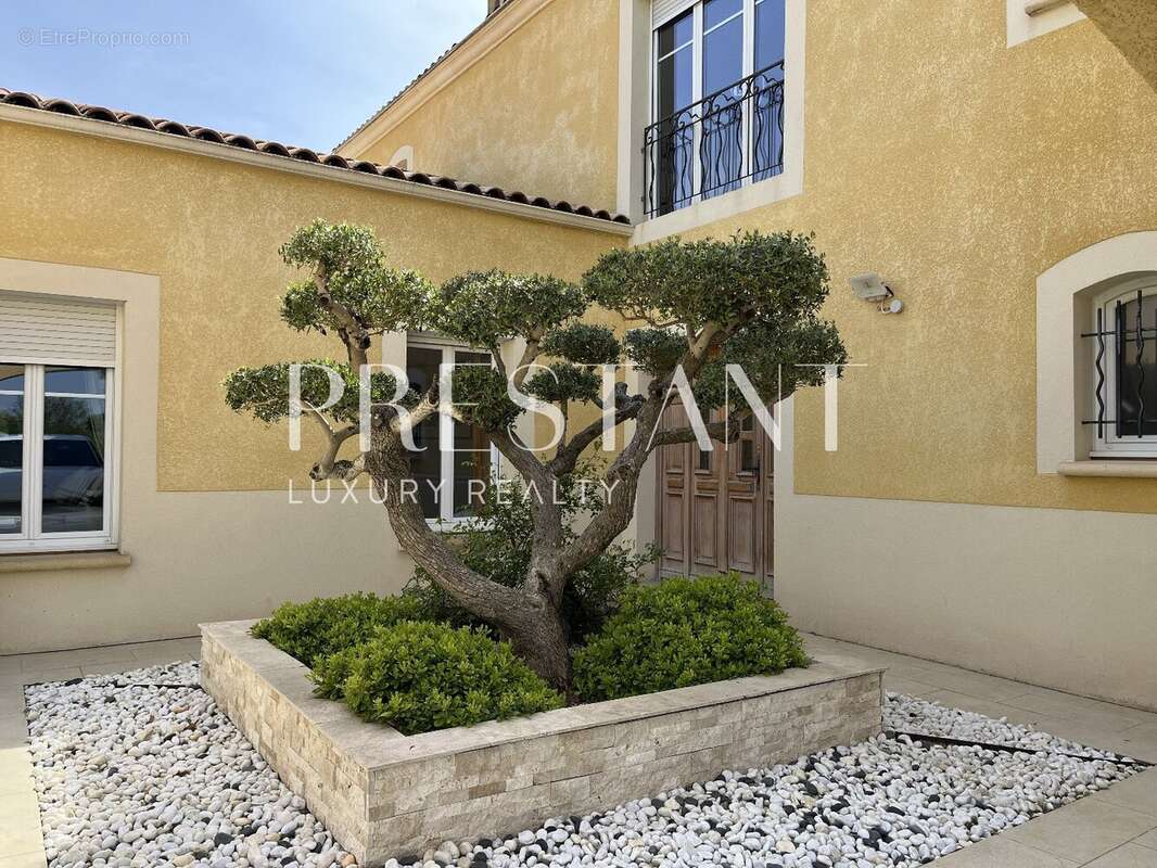 Maison à SAINTE-EULALIE