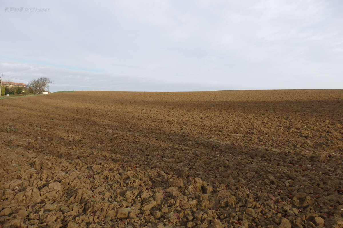 Terrain à MAUVEZIN-SUR-GUPIE
