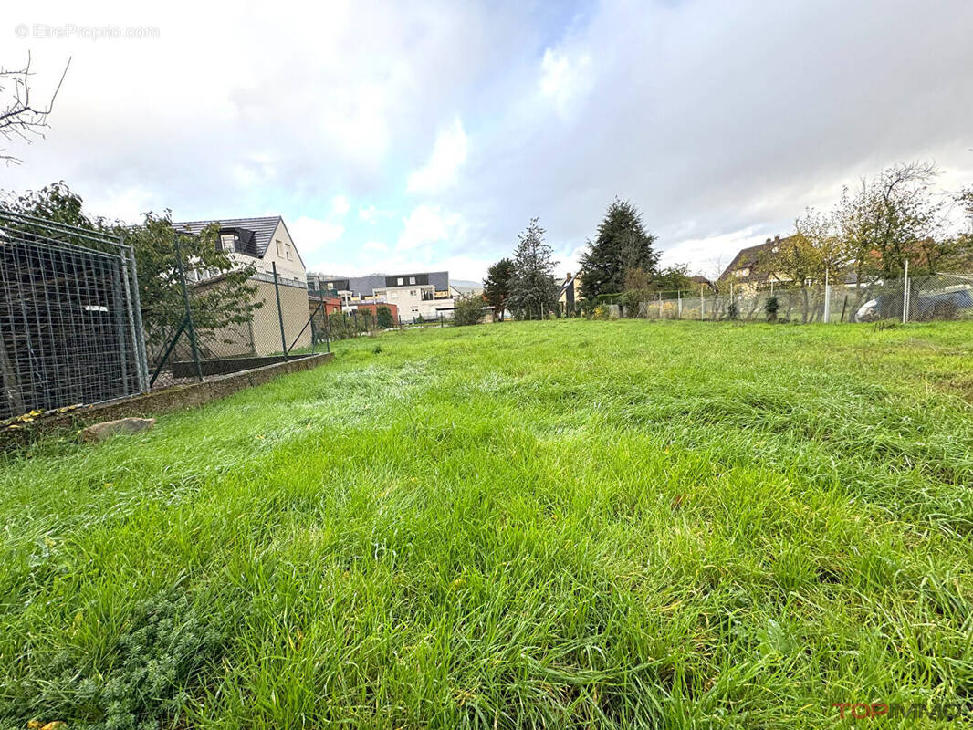 Terrain à TURCKHEIM