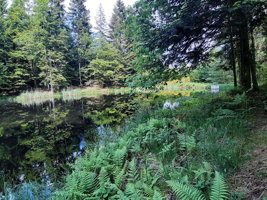 Terrain à FAUCOGNEY-ET-LA-MER