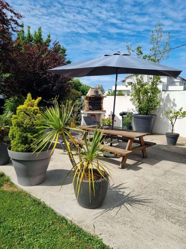 Terrasse(s)