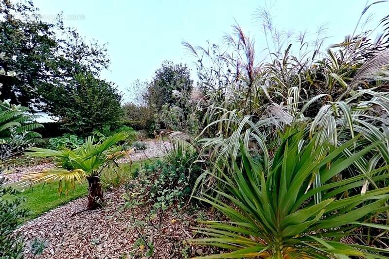 Maison à PLEUMEUR-BODOU