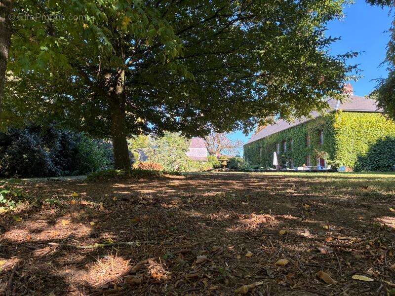 Maison à AVESNES-SUR-HELPE