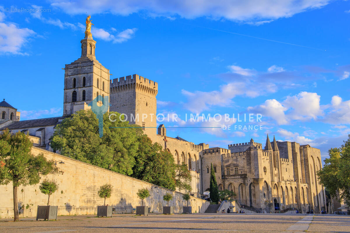 Commerce à AVIGNON