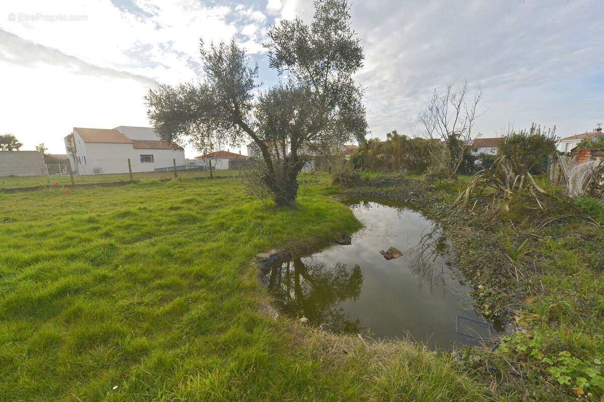 Terrain à SAINT-GEORGES-DE-DIDONNE