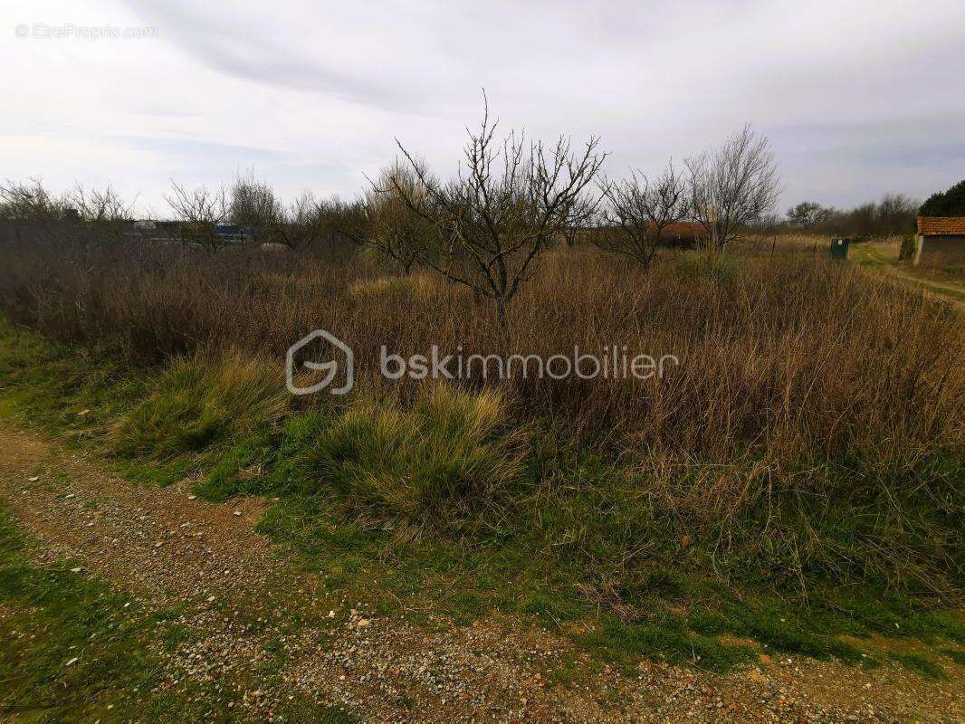 Terrain à VILLENEUVE-LES-BEZIERS