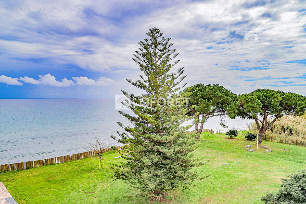 Appartement à SAN-NICOLAO