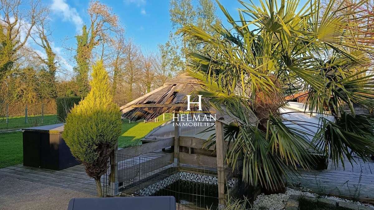 Maison à HUCQUELIERS