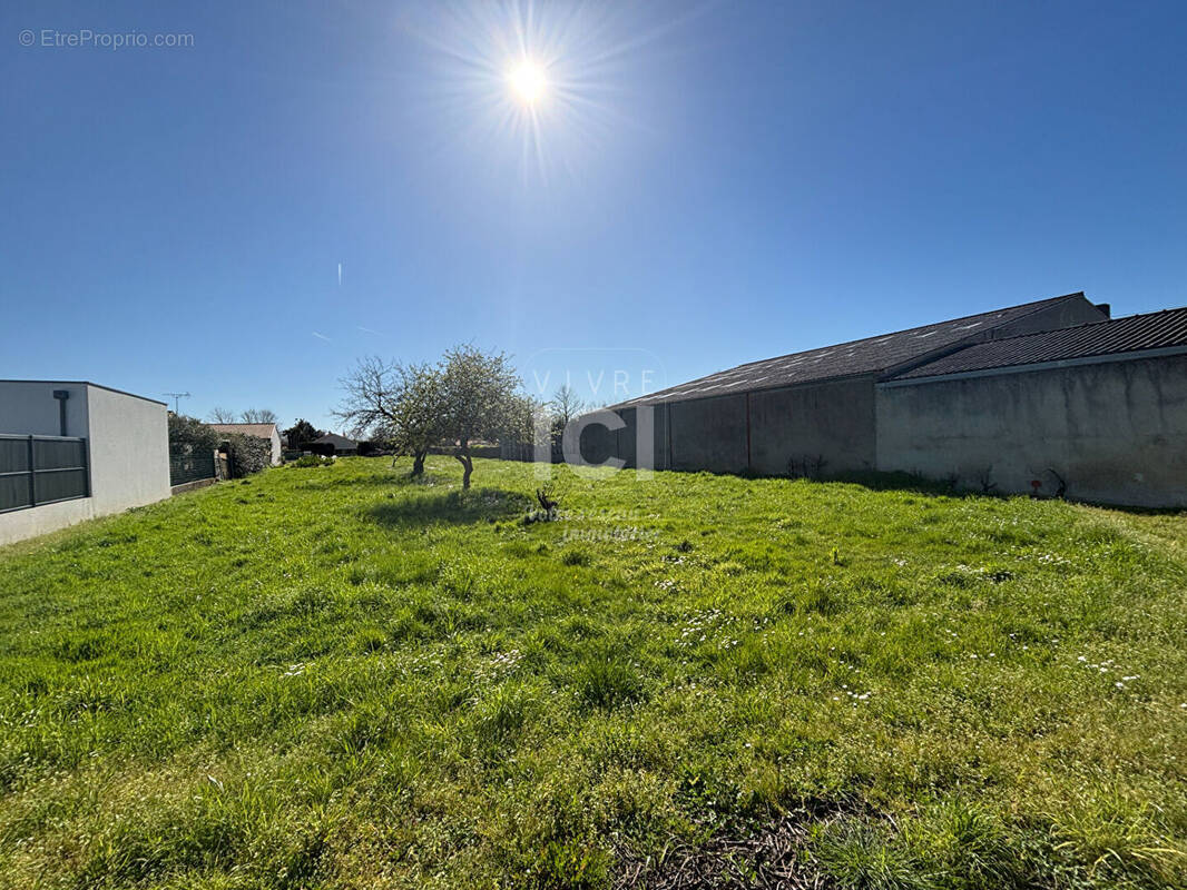 Terrain à SAINT-HILAIRE-DE-CHALEONS