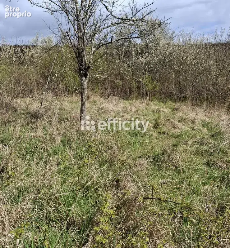 Terrain 1 810 m² à vendre à Rougemontot (25640) - photo 2