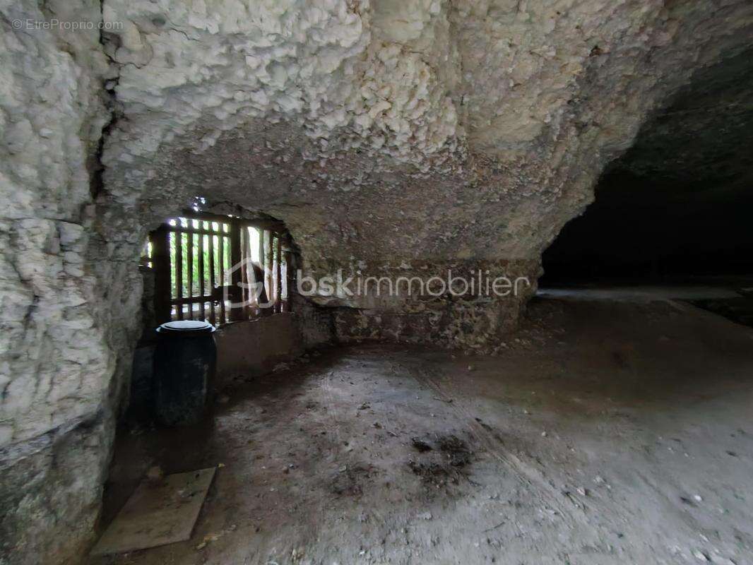 caves et terrain 3173 m² - photo 9