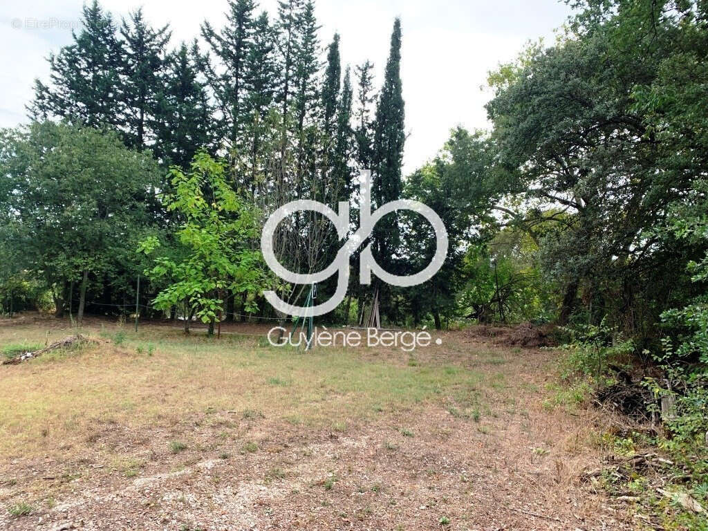 Terrain à LA BOISSIERE