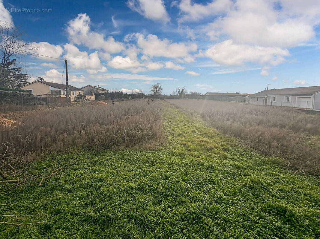 Terrain à AUBERIVES-SUR-VAREZE