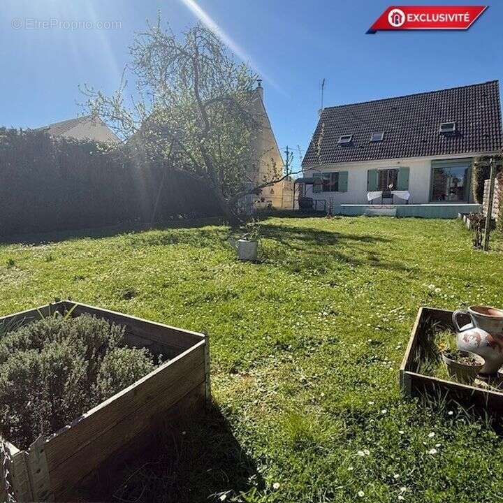 Maison à MORIGNY-CHAMPIGNY