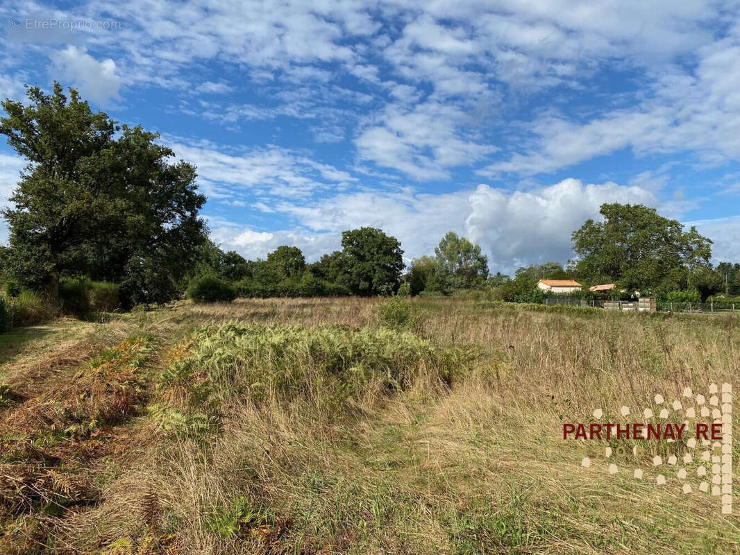 Terrain à LE TALLUD