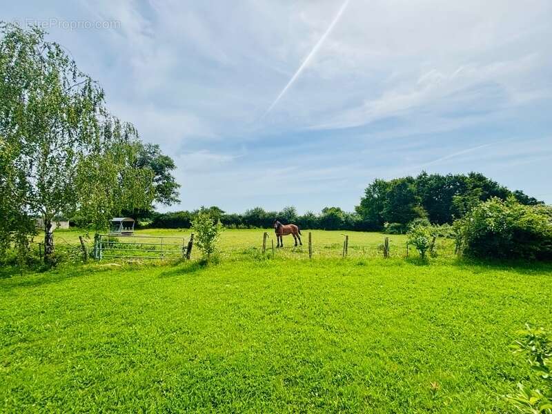 À VENDRE MAYENNE – Manoir d’exception du XIIIe siècle sur 3 hectares – Gîte ou demeure familiale de charme - photo 16