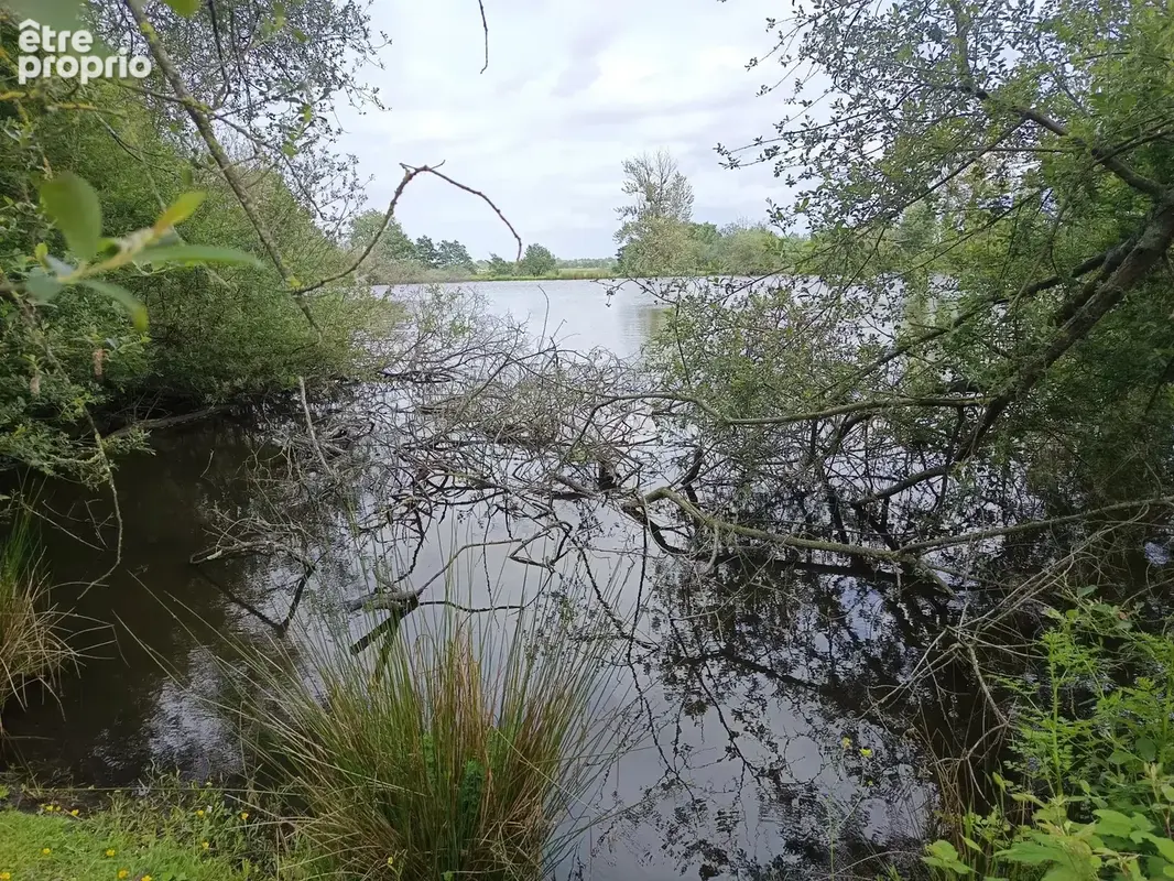 2 etangs au milieu de la verdure - photo 3