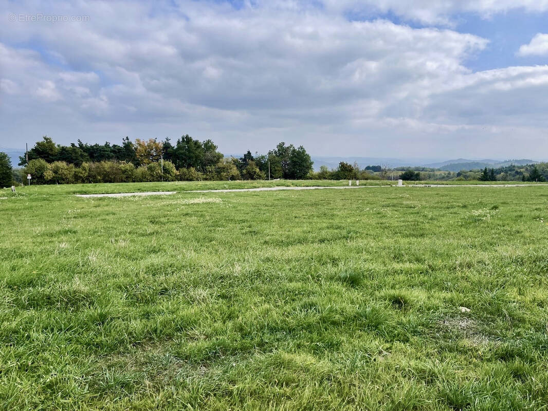 Terrain à VION