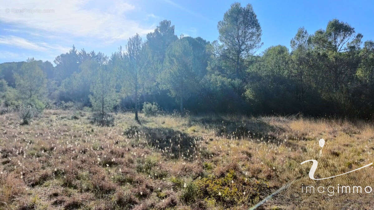 Vente terrain agricole - photo 2
