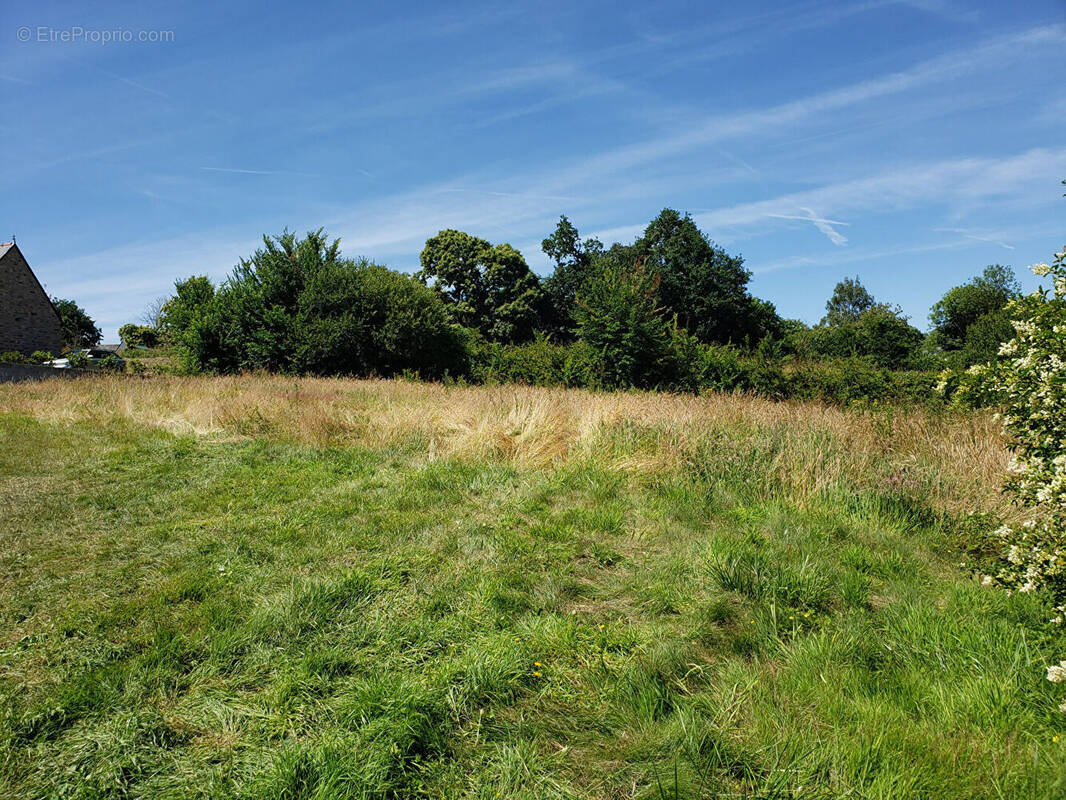 Terrain à LANNION