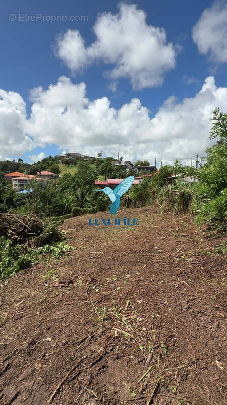 Terrain à LE FRANCOIS