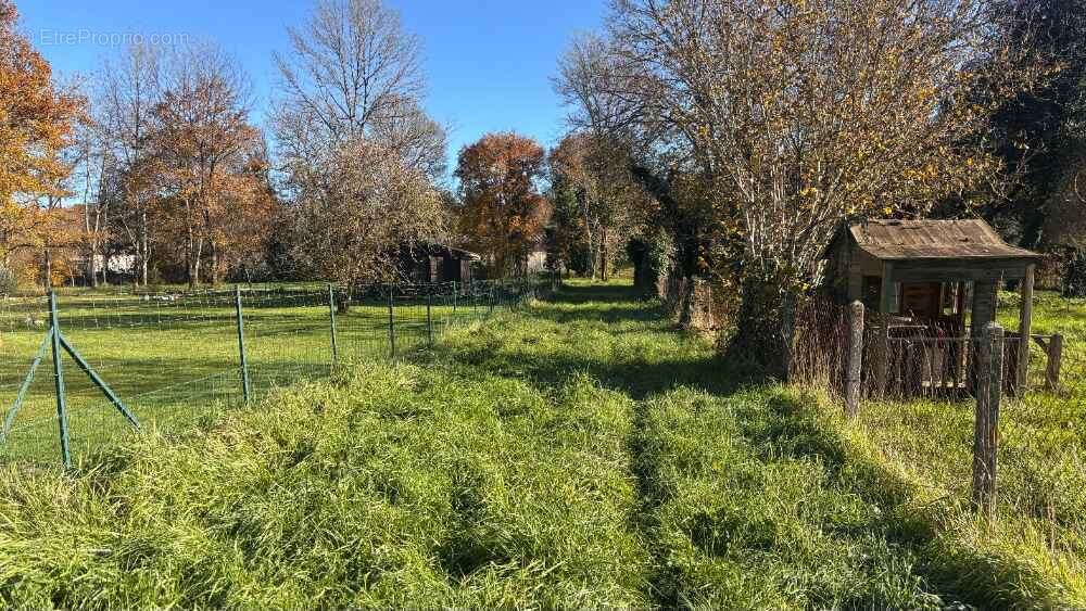 Terrain à CHANCELADE