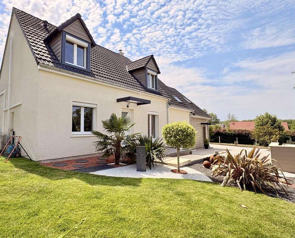 Maison 204 m² à Checy  - photo 2
