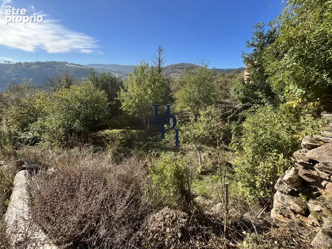Vente maison avec terrain secteur Saint Sernin sur Rance - photo 17