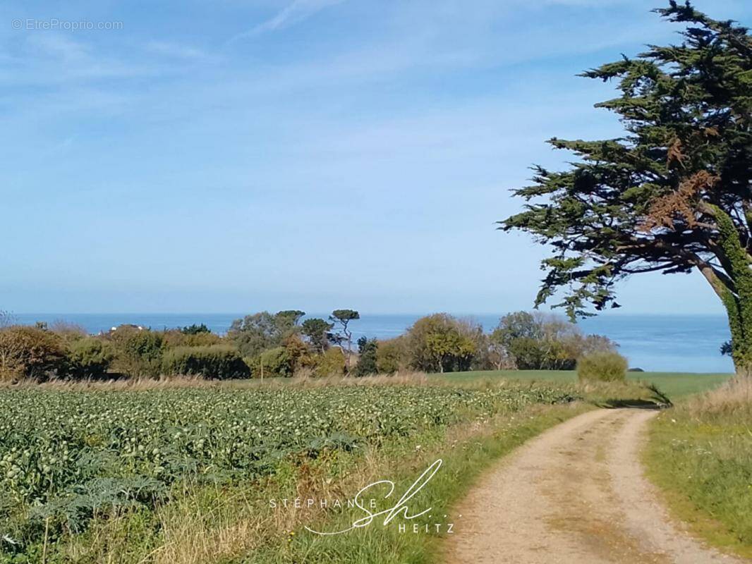 Maison à PLOUGASNOU