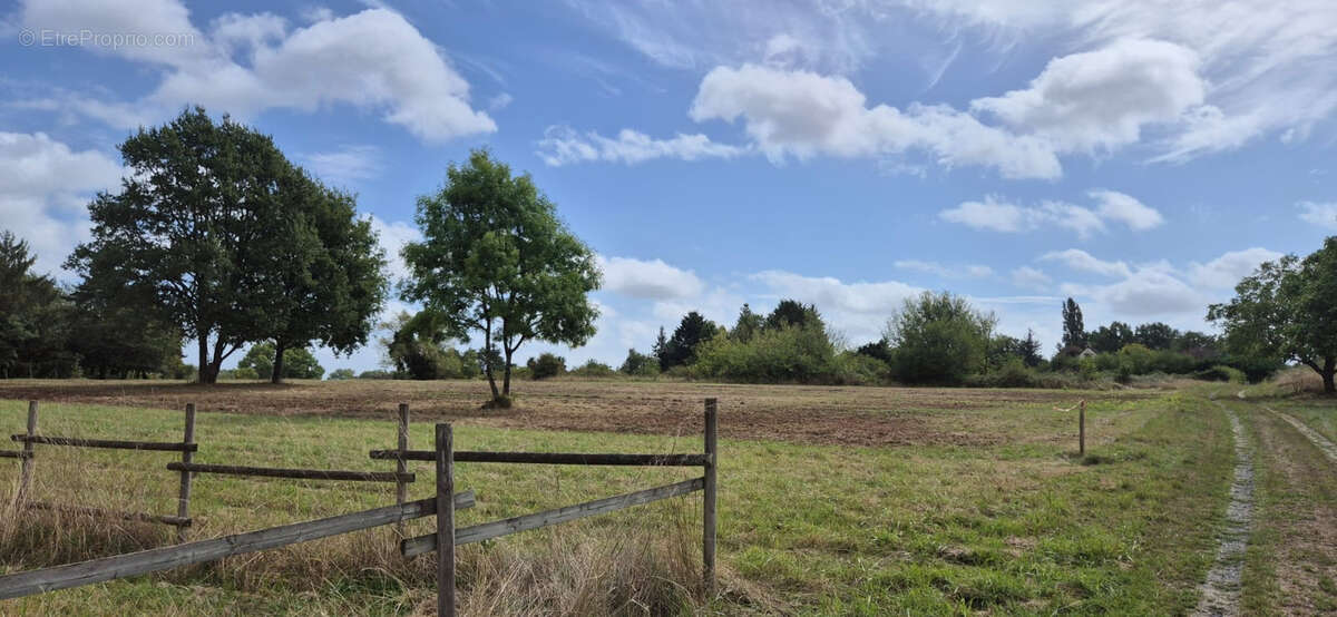 Terrain à MAREUIL-SUR-CHER