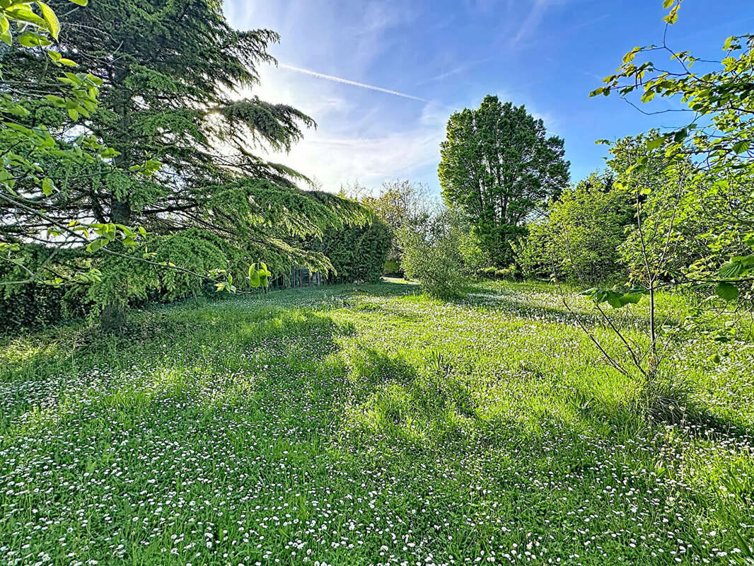 Terrain plat à vendre MONTLAUR 801 m2 - photo 3