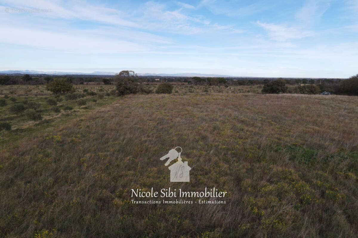 Terrain à SAINT-ANDRE