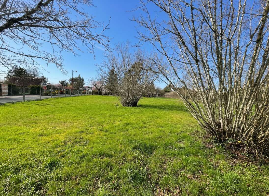 Terrain à OUZOUER-SUR-LOIRE