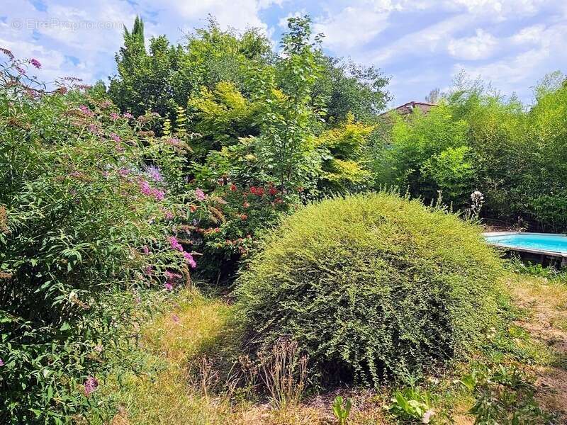 Maison 176 m² habitables - jardin - cour - grange  CHAURIAT (63) - photo 3