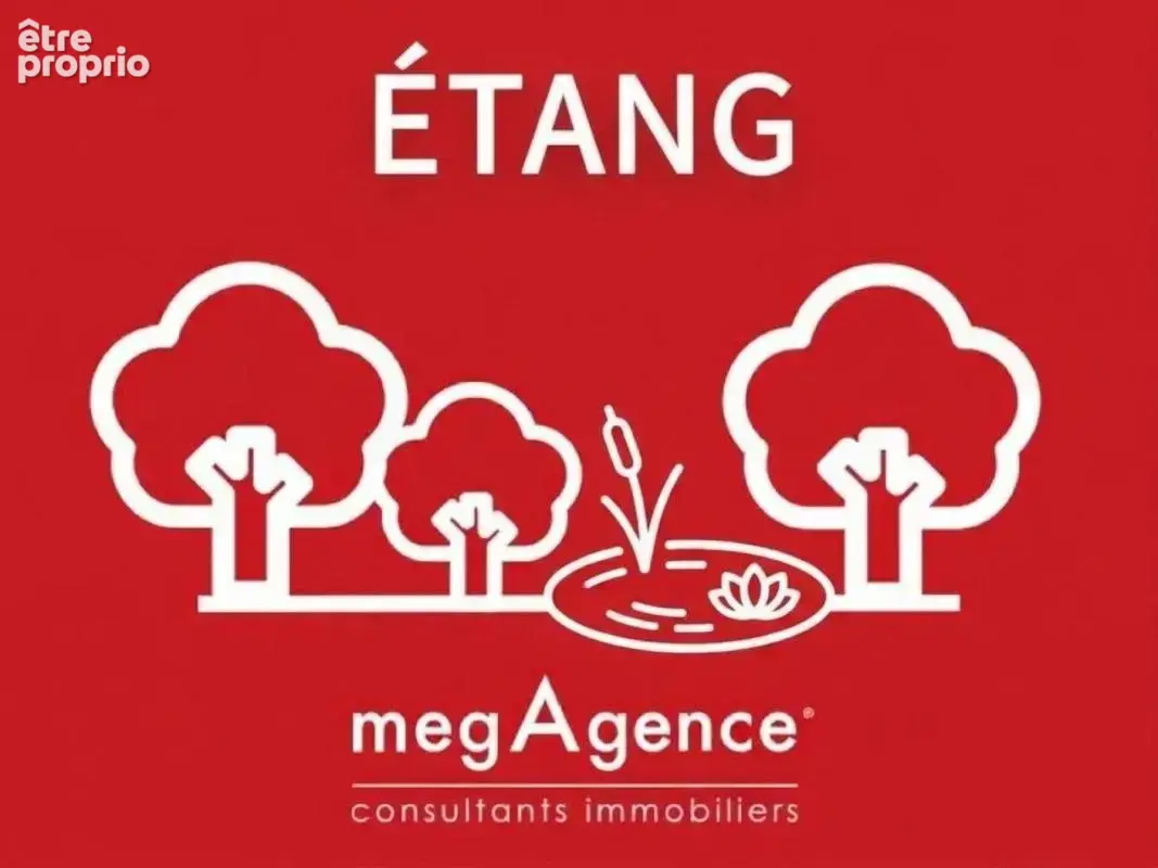 Magnifique étang , environnement paisible - photo 3