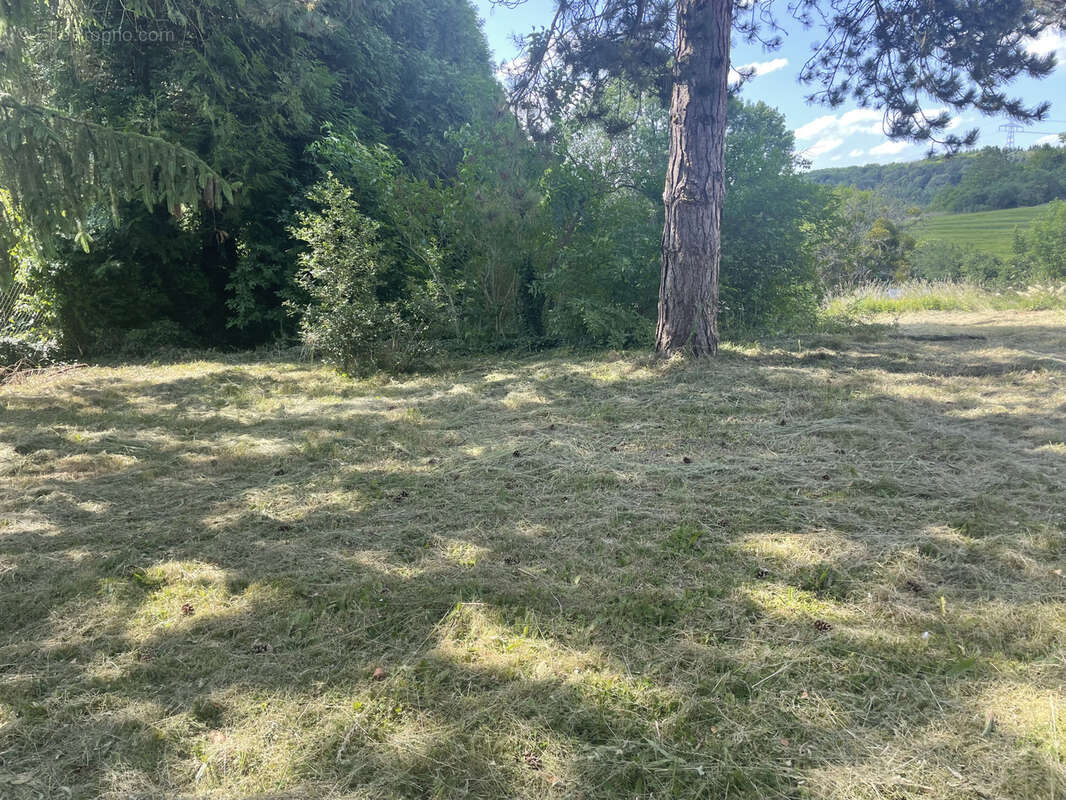 Terrain à SAINTE-GENEVIEVE