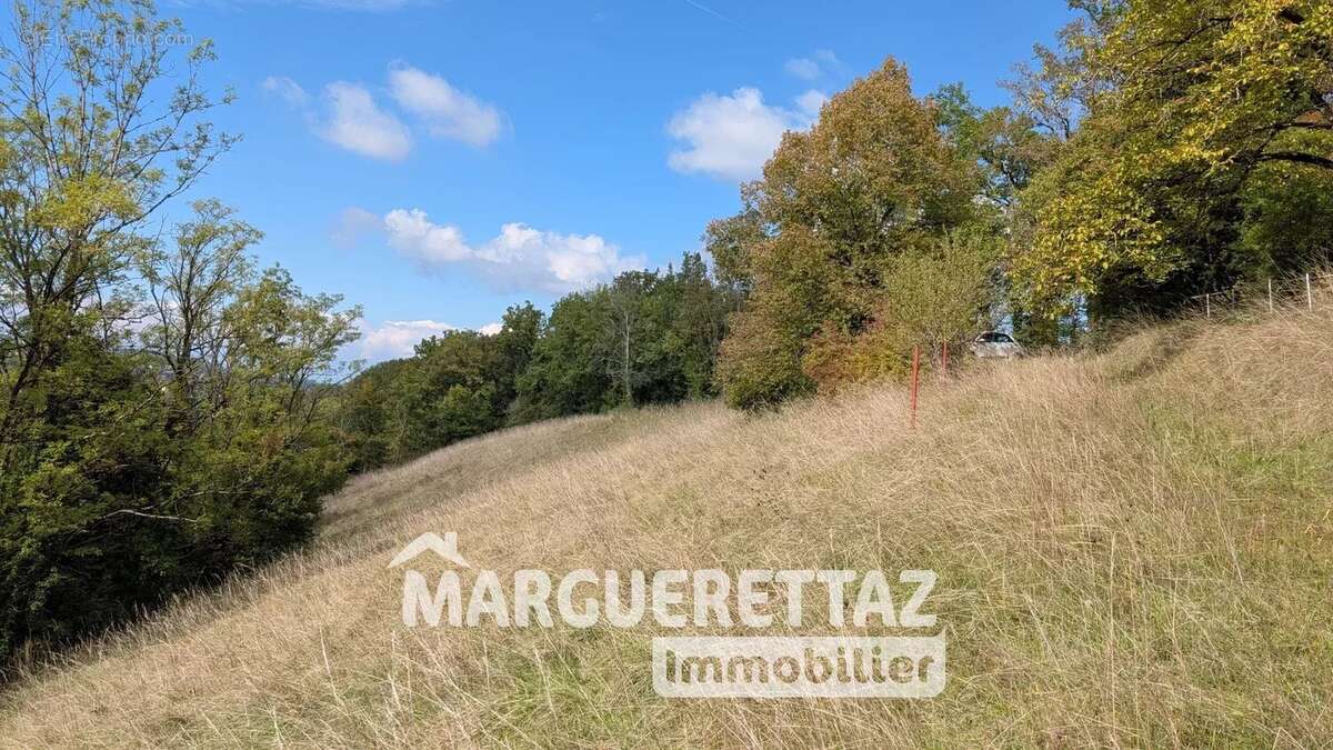 Maison à SAINT-JEAN-DE-THOLOME