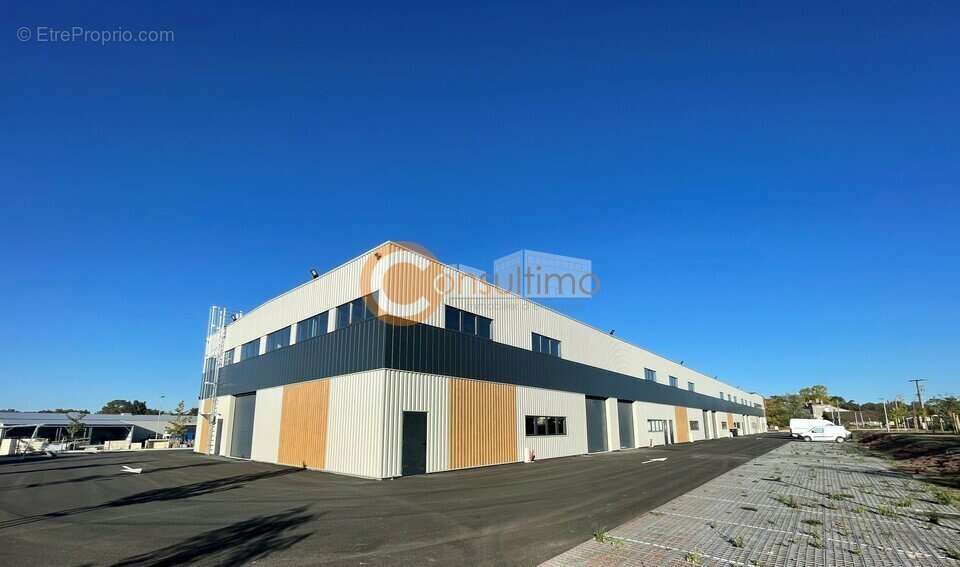 Commerce à SALLEBOEUF