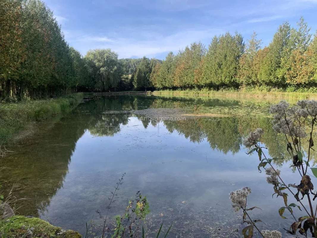 Terrain à VILLOUXEL