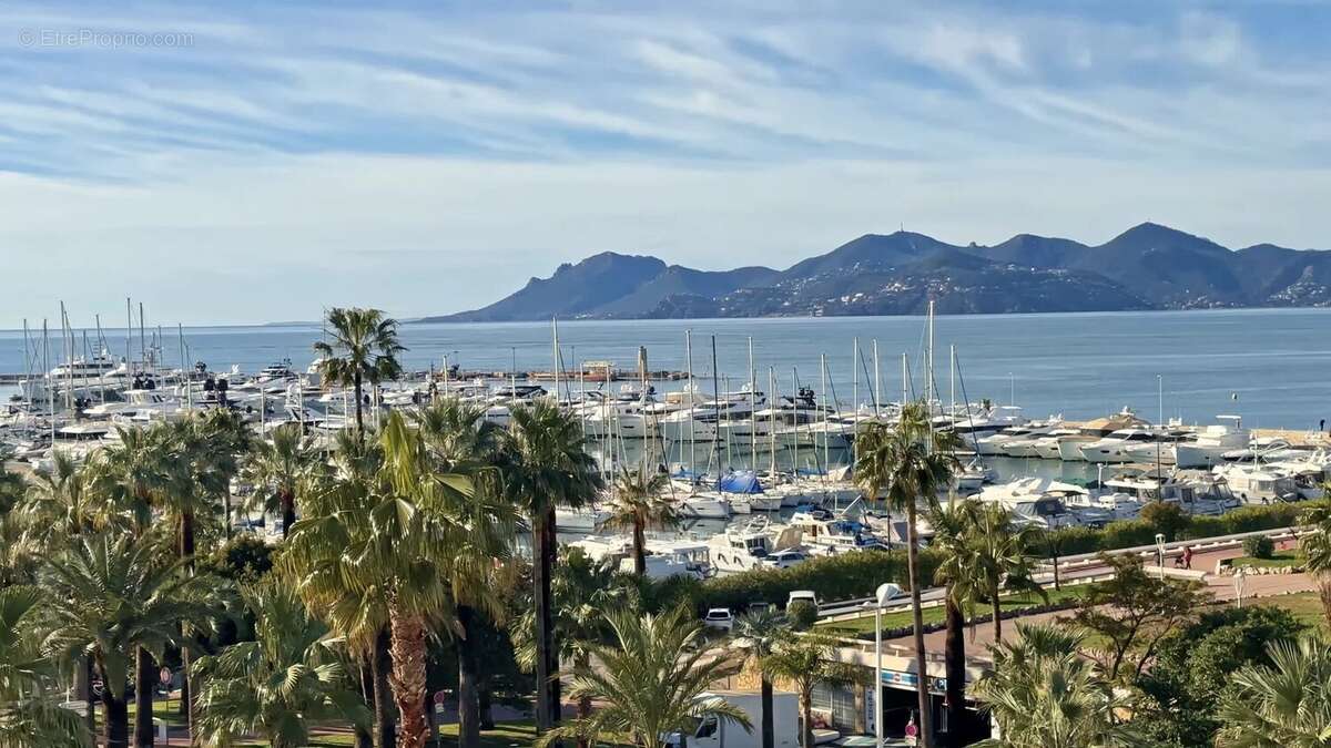 Cannes croisette vue mer - photo 6