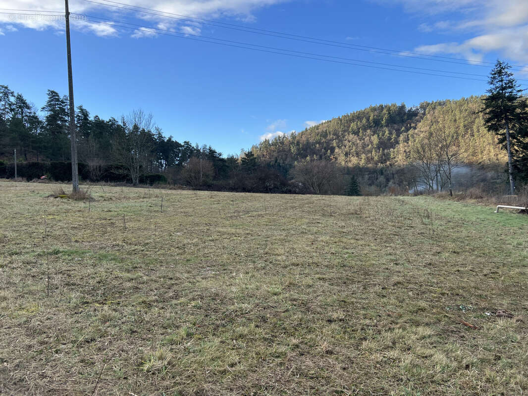 Terrain à SAINT-MAURICE-DE-LIGNON