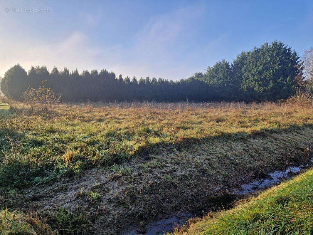 Terrain à CHATILLON-SUR-CHER