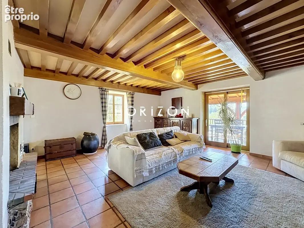 Maison 5 pièces 223 m² à vendre à Belmont-De-La-Loire (42670) - photo 8