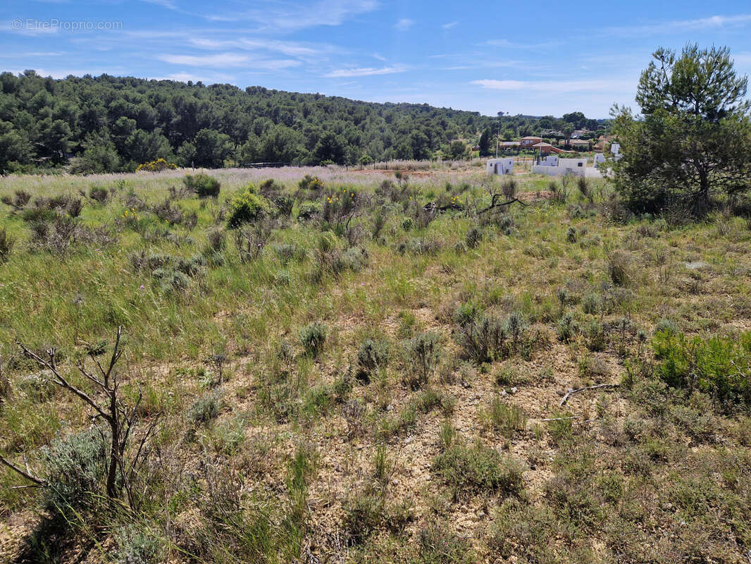 Terrain à NISSAN-LEZ-ENSERUNE