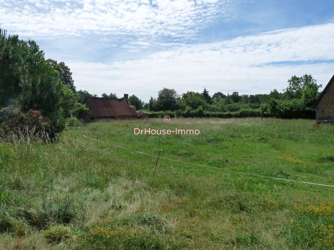 Terrain 2652 m² à Saint-Aubin-Le-Guichard  - photo 3
