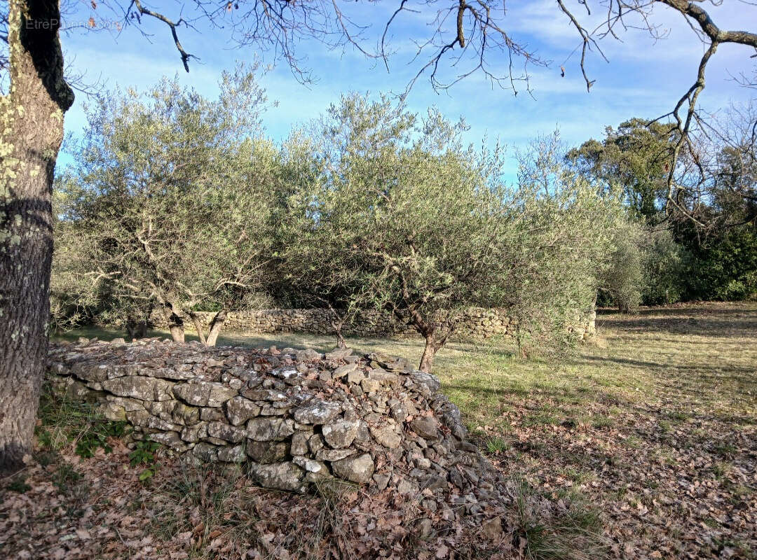 Terrain à DEAUX
