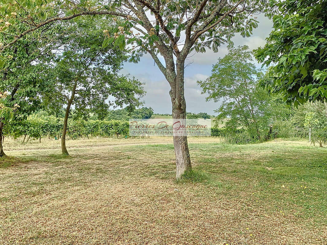 Maison de campagne entièrement meublée et équipée - Région  Vic-Fezensac - photo 6